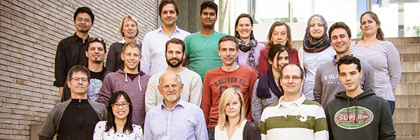 Signal Processes in B Cells: from Analysis to Synthesis Signal Processes in B Cells: from Analysis to Synthesis
