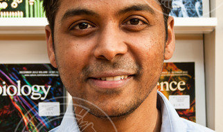 from Chennai, India<br />Graduated September 2014<br />IMPRS fellow from 2010 - 2014 in Pospisilik lab