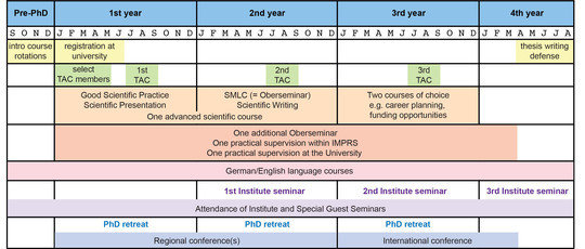This diagram summarizes the activities that are required for IMPRS-MCB students. Yellow - prePhD phase and University interactions; Green - Thesis Advisory Committee (TACs); Orange - mandatory IMPRS-MCB curriculum; Red - University requirements; Pink - Language classes; Purple - Institute Seminars; Blue - PhD retreat and conferences