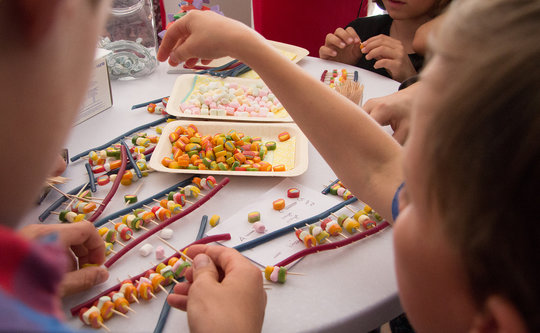 Science fair 2017: Kids creating DNA strands out of sweets at the booth of the MPI-IE