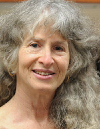 Prof. Dr.  Ellen V.  Rothenberg