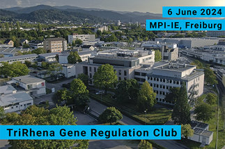 TriRhena Gene Regulation