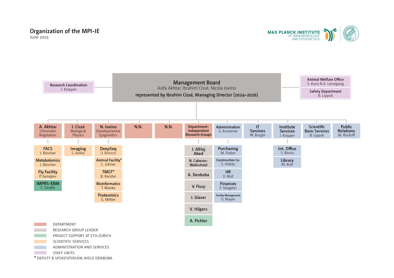 MPI-IE organizational chart, detailing management board and various departments, including research and administration - June 2025