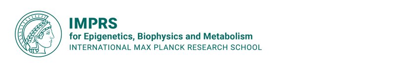 PhD Overview PhD Overview