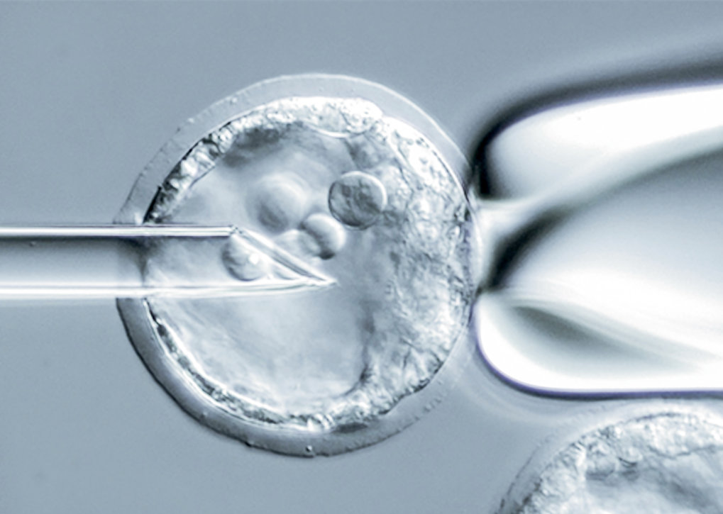 It has taken us millions of years to discover that the genome can be artificially modified but only a few dozen of years ...