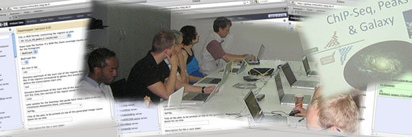 Bioinformatics Galaxy course Bioinformatics Galaxy course