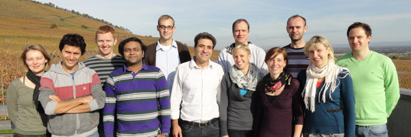N-Glykosilierung in BCRs unterschiedlicher Klassen und in Vorläufer-BCRs N-Glykosilierung in BCRs unterschiedlicher Klassen und in Vorläufer-BCRs