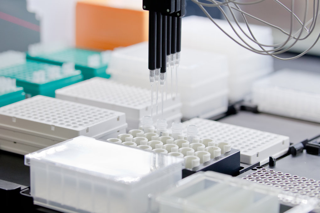 Die Einheit für Tiefen-Sequenzierung am Max-Planck-Institut für Immunbiologie und Epigenetik (MPI-IE) bietet ...