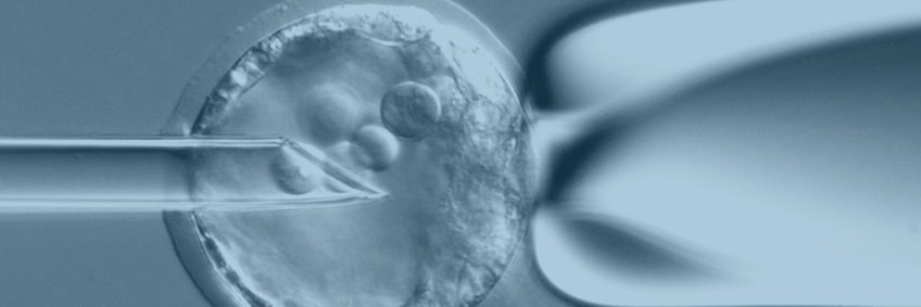 Einheit für transgene Mäuse Einheit für transgene Mäuse