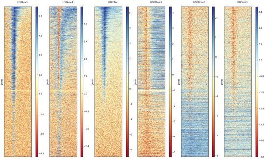 <p class="p1">Heatmaps are useful tools to visualize genome-wide data, such as important histone marks around all human genes.</p>