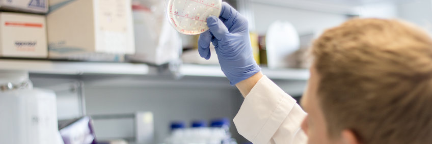 Biologielaborant:in (m/w/d) Biologielaborant:in (m/w/d)