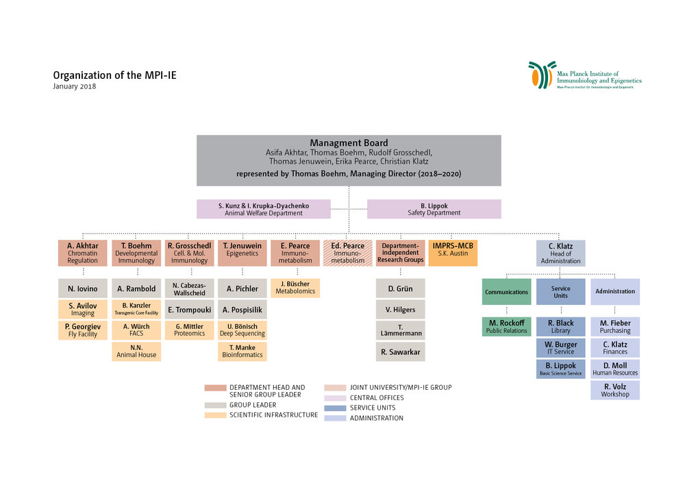 Organization of the MPI-IE as of September 2017