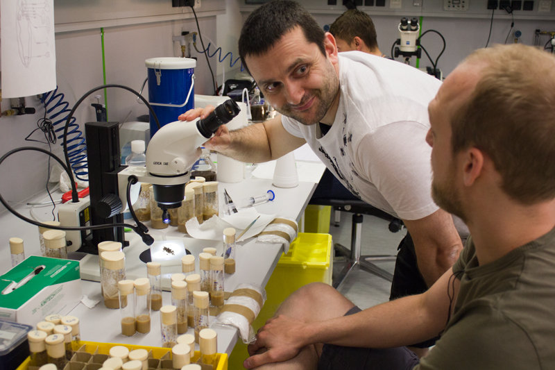 Plamen Georgiev in conversation with a fly facility user.