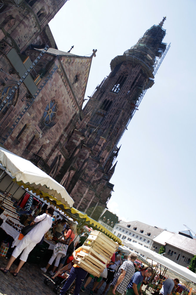 Montag bis Samstag ist Markttag rund um das Freiburger Münster. Aber nicht nur hier, auch in vielen anderen Stadtteilen bieten Bauern ihre regionalen Lebensmittel an.