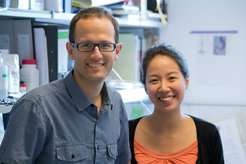 Rising Star arwardee J. Andrew Pospisilik and his PhD student Tess Lu found evidence that diabetes might also have epigenetic causes.