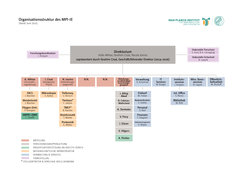 Organigramm des MPI-IE mit detaillierten Angaben zum Leitungsgremium und den verschiedenen Abteilungen, einschließlich Forschung und Verwaltung – Juni 2025