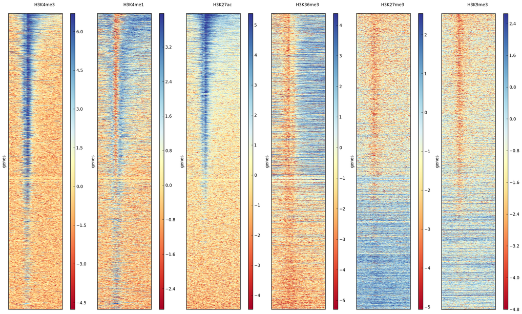 Heatmaps are useful tools to visualize genome-wide data, such as important histone marks around all human genes.