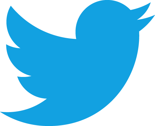 twitter logo: mpi_ie