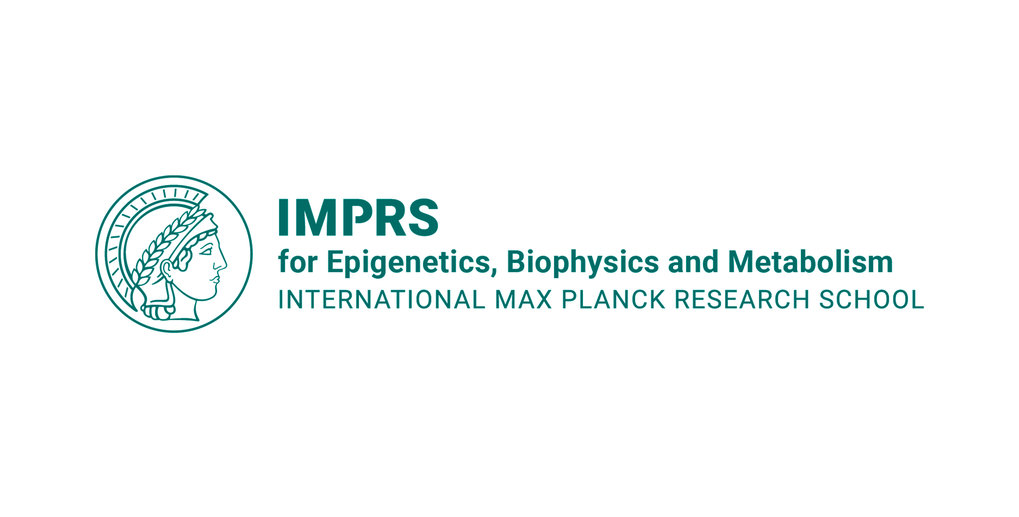 IMPRS-IEM is the successor program to the IMPRS-MCB.