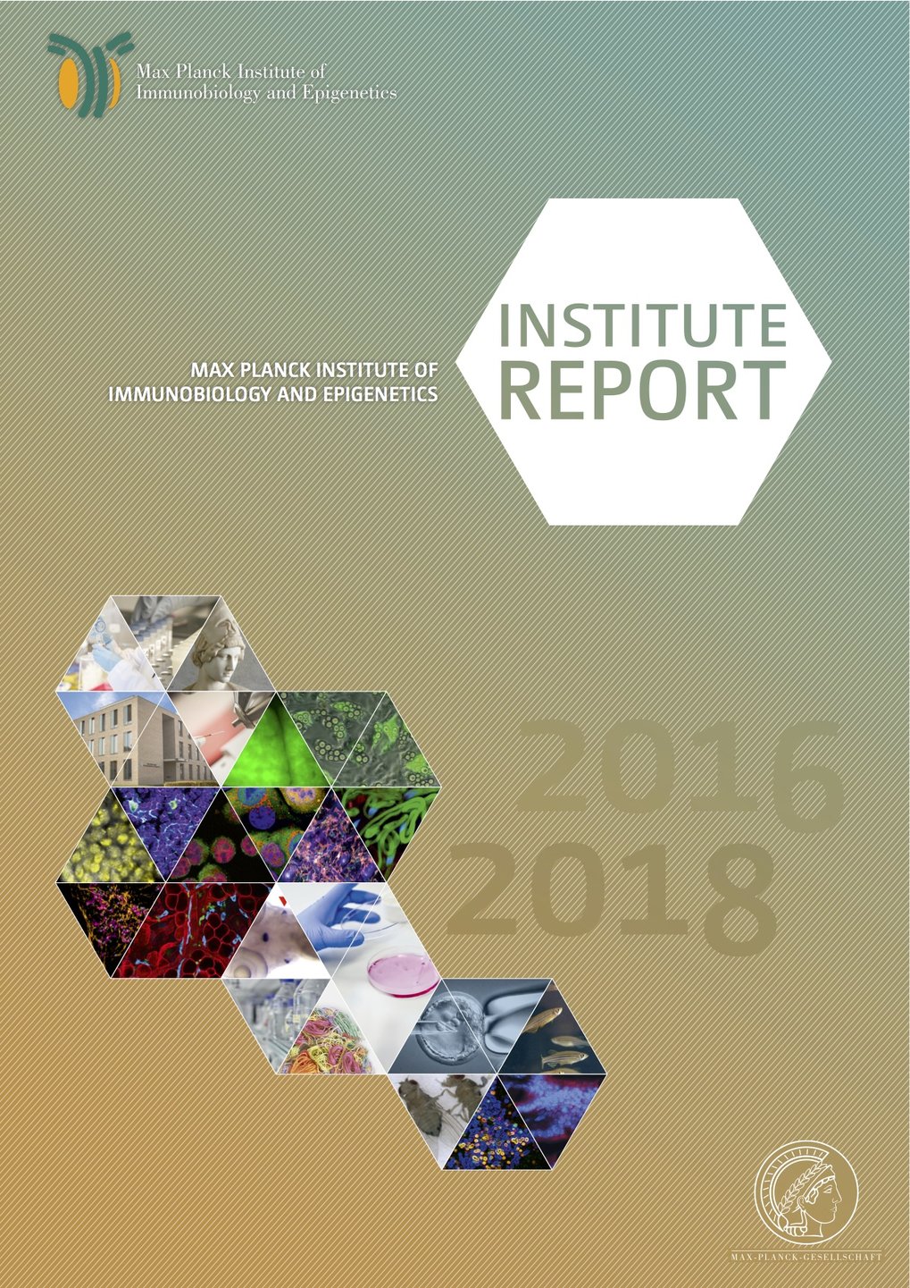 Institute Report 2016-2018
