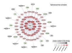 Fig. 2 Display of layered interactome representation for spliceosomal complex members in Drosophila. The proteins are arranged in concentric circles, where the confidence in and resolution of the site of RNA interaction increases with proximity to the RNA.