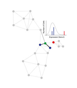 Abb. 2 VarID verknüpft Zellen basierend auf der Ähnlichkeit ihrer Genexpressionsprofile und quantifiziert die Variabilität der Genexpression in lokalen Gruppen ähnlicher Zellen.