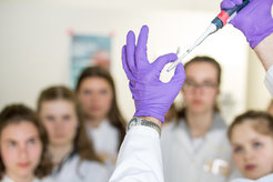Den Schülern wird gezeigt, wie man pipettiert. Forscherinnen und Forscher des MPI-IE helfen den Studierenden mit praktischen Ratschlägen bei ihren ersten Schritten im Experimentieren in der modernen Molekularbiologie.