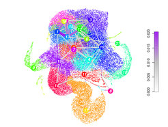 Figure 1 Single cell mRNA sequencing is performed on randomly sampled cells from an organ to discover cell types and infer lineage trees. Mechanistic models of gene regulation during differentiation can be derived from these data.