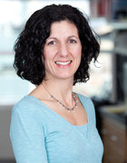 Prof. Erika Pearce, Ph.D.