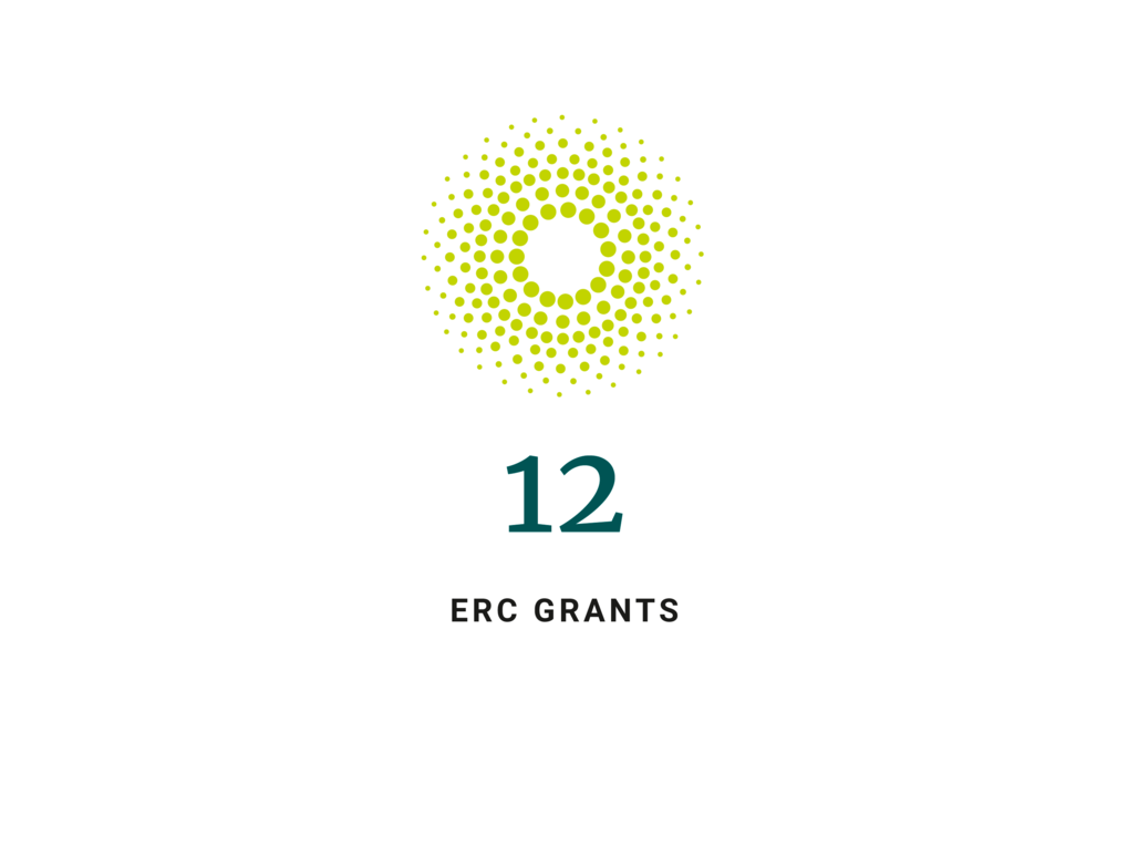 12 ERC Grants