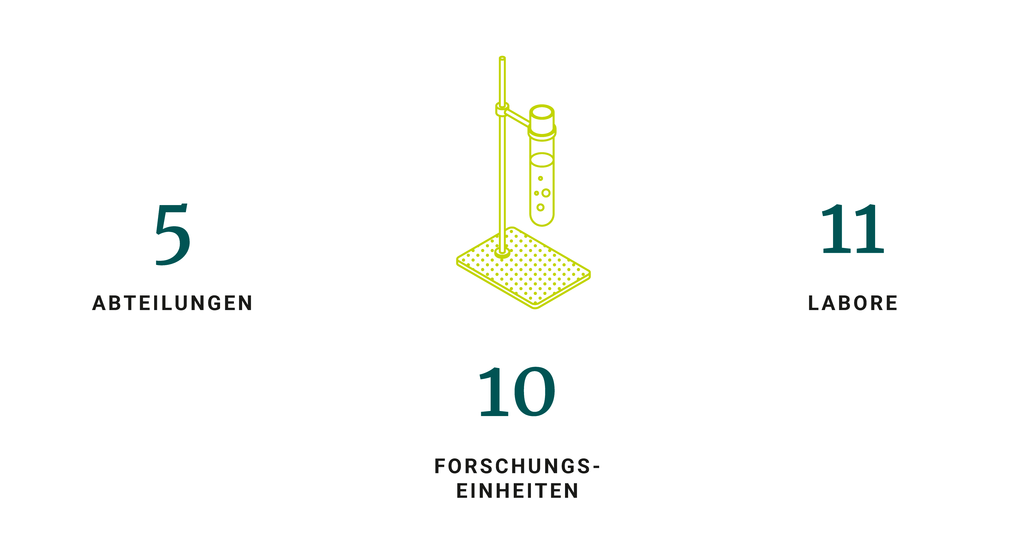 Abteilungen, Labore und Forschungseinheiten am MPI-IE