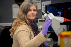 Dr. Angelika Rambold in the Imaging Facility of the MPI-IE: “Even as a PI, my favorite part is still going to the microscope. For me it's really the essence of being a scientist – every day holds the possibility of seeing something no one else has ever seen before.”