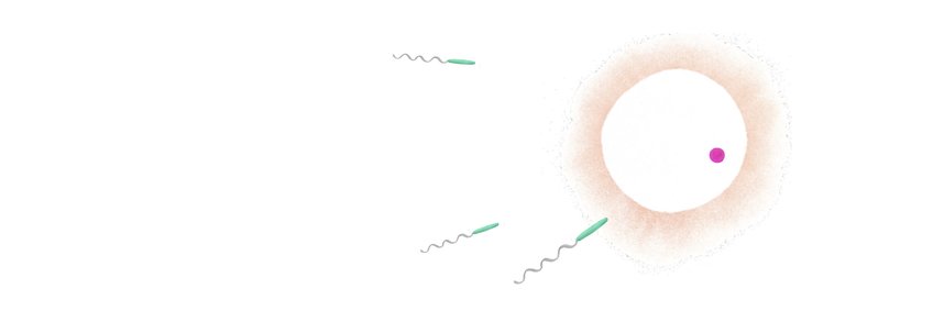 Entwicklungsepigenetik Entwicklungsepigenetik