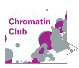 <i>TriRhena</i> transcription and chromatin club in Strasbourg