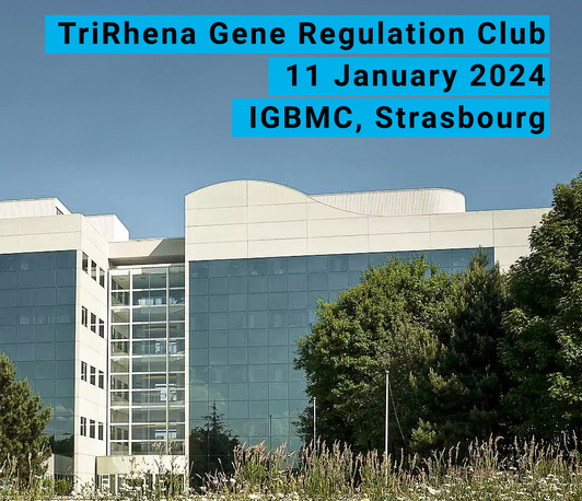 <i>TriRhena</i> Gene Regulation Club in Strasbourg