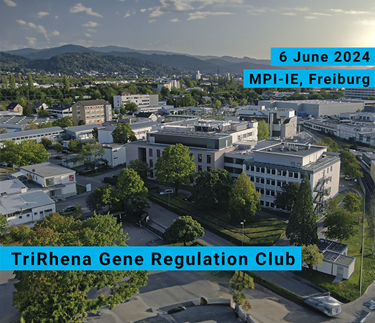 <i>TriRhena</i> Gene Regulation Club in Freiburg