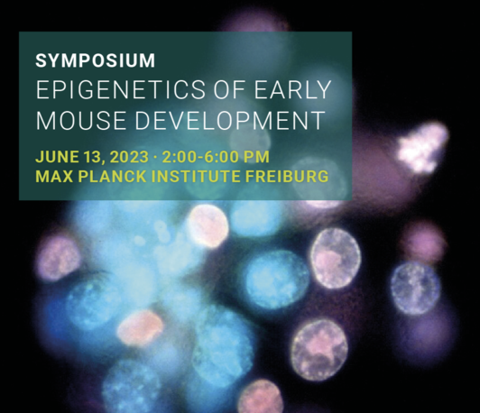 Symposium: Epigenetics of early mouse development Symposium: Epigenetics of early mouse development